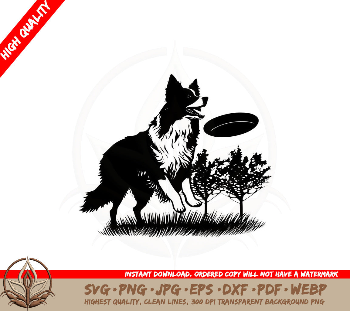 Border Collie With A Frisbee SVG 