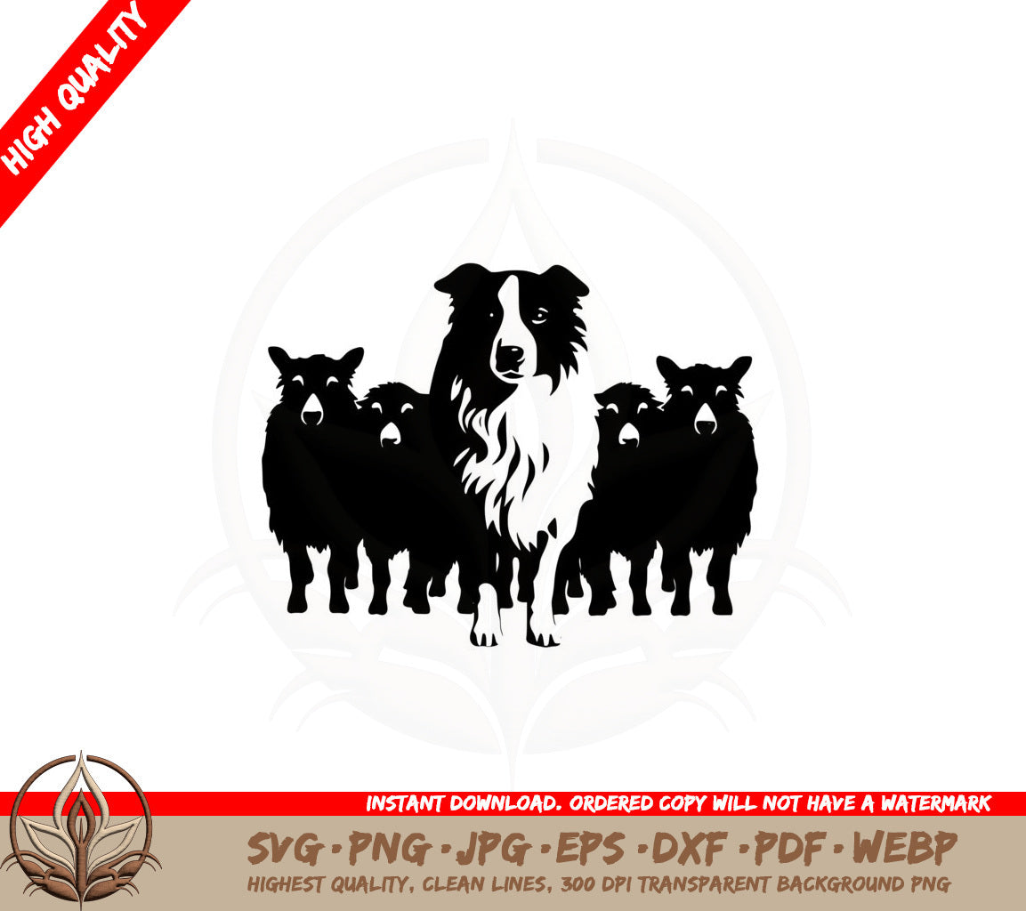 Border Collie Working Sheep SVG 