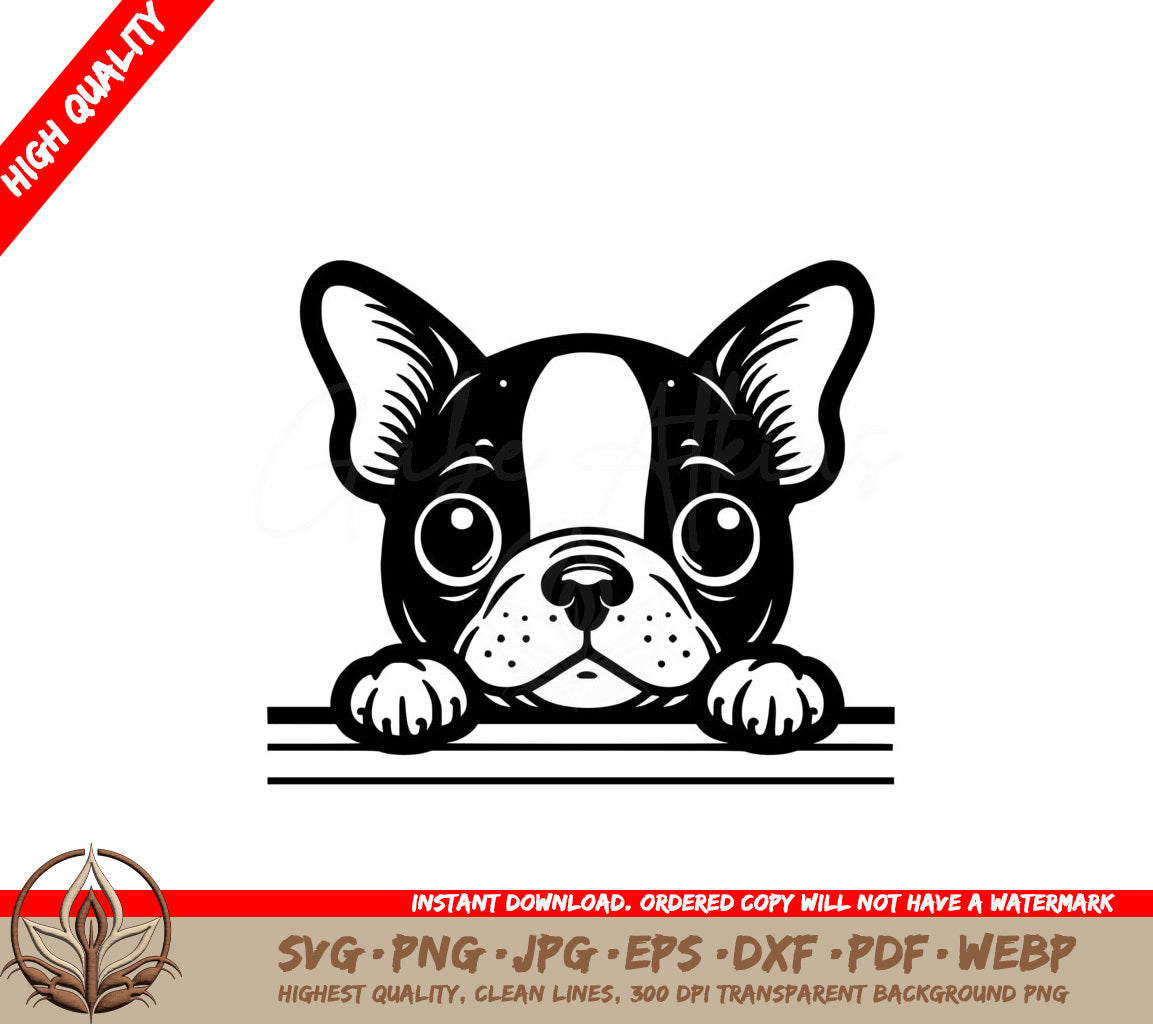 Boston Terrier Buddy SVG File