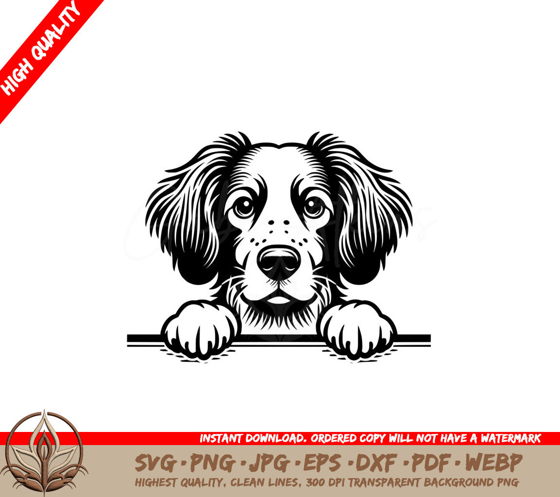 Brittany Spaniel Peek Digital SVG