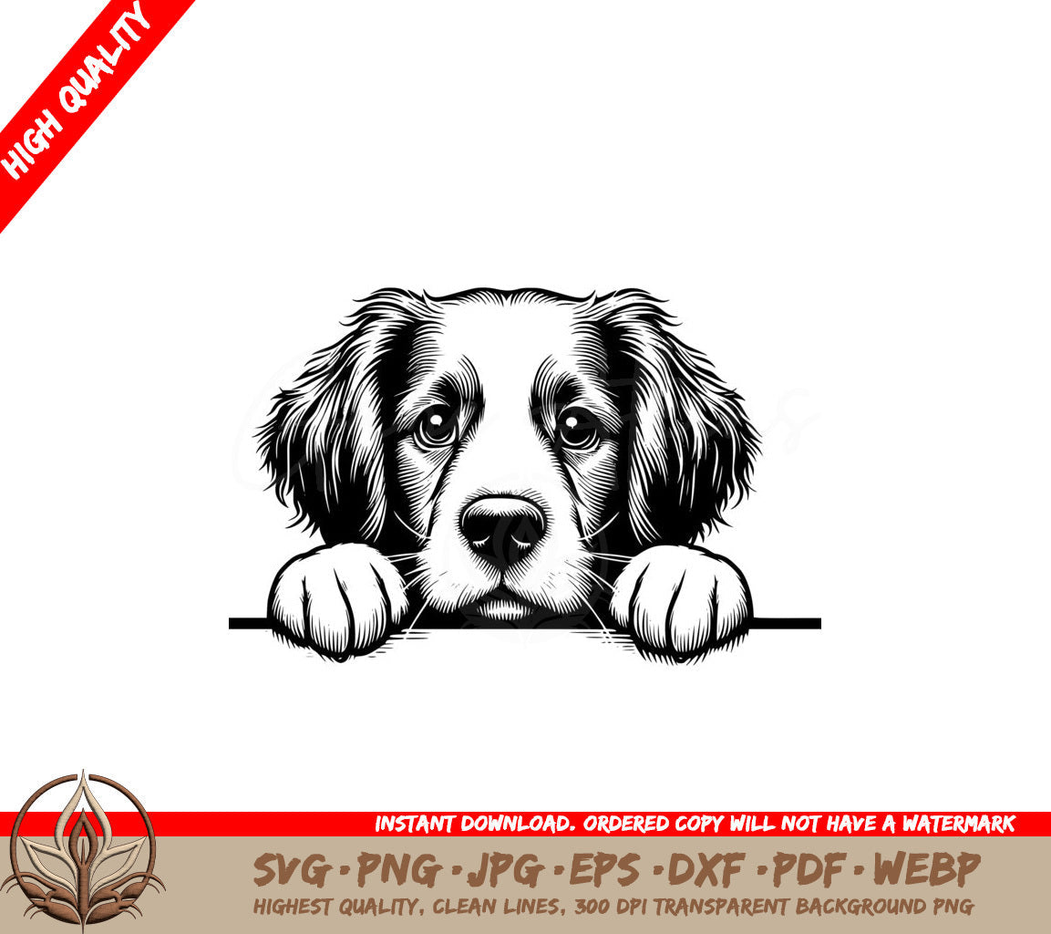 Brittany Spaniel SVG - Digital File in Multiple Formats