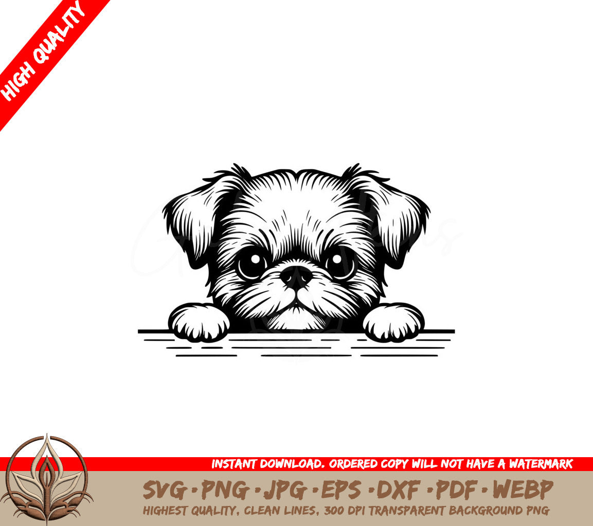 Brussels Griffon Puppy Peek SVG - Digital Product in Multiple Formats