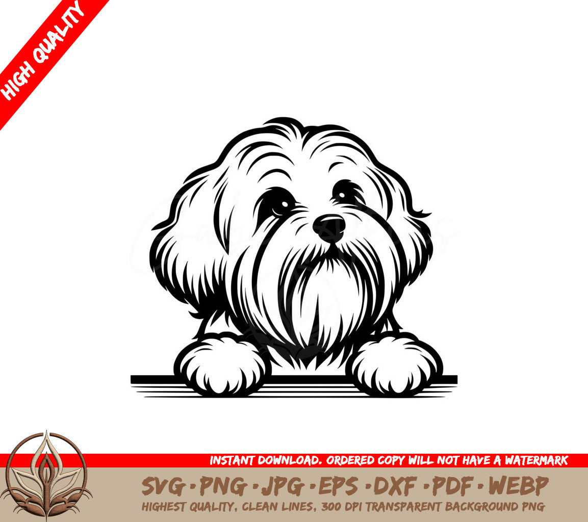 Bushy Coton Buddy SVG - Digital Product in Multiple File Formats