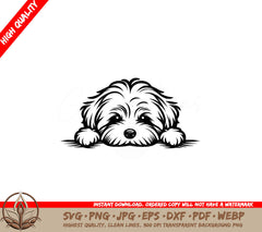 Bushy Eyebrow Havanese SVG - Digital File for Flexibility