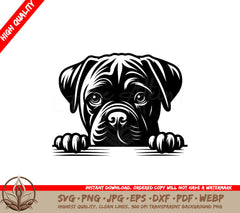 Cane Corso Peeking SVG - Digital Product in Multiple Formats