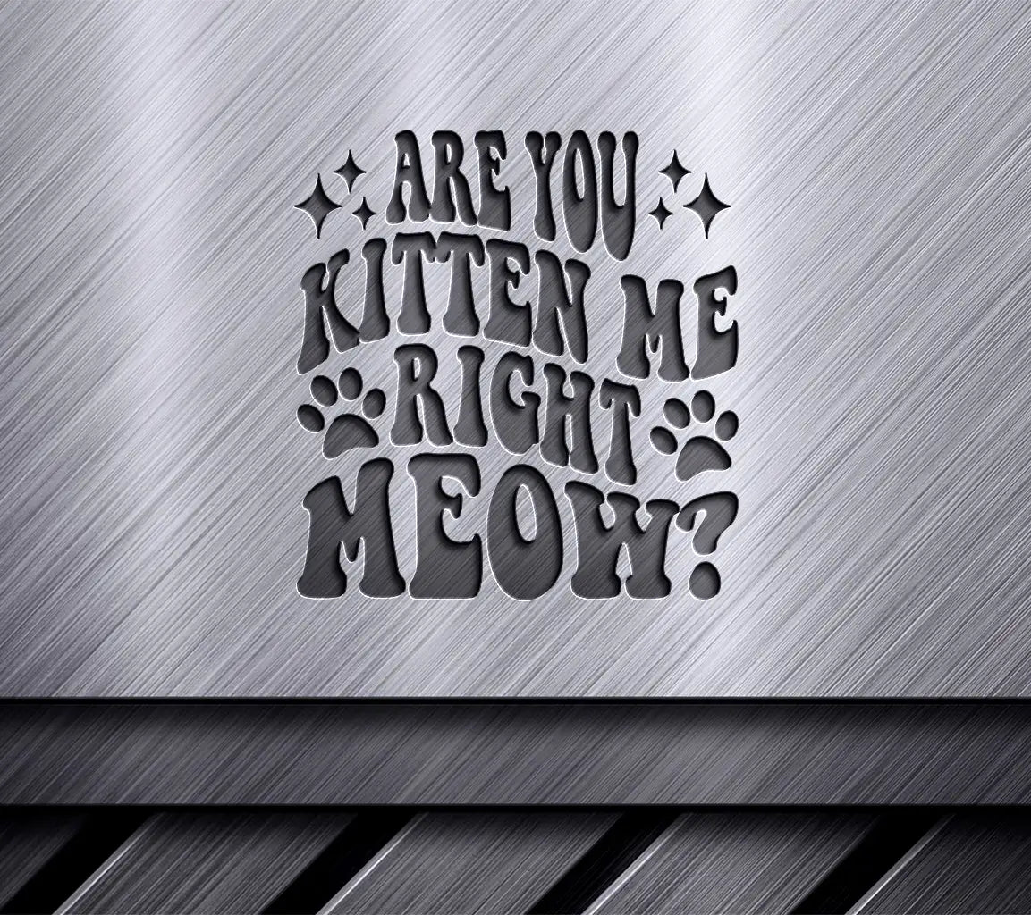 Are You Kitten Me Right Meow  Cat Quote SVG SVG