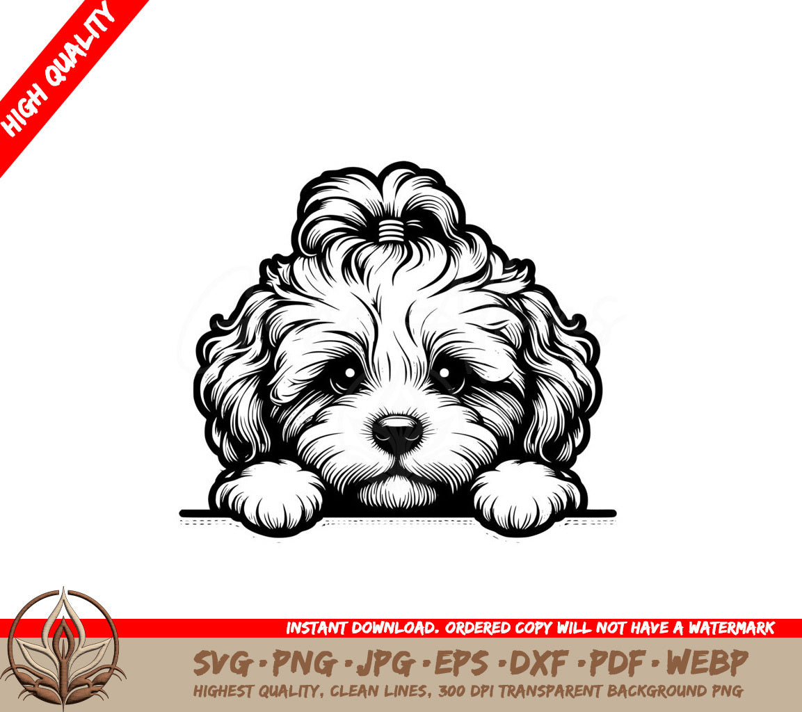 Cavapoo Furry Friend SVG - Digital Product File Formats