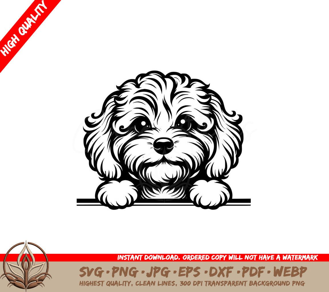 Cavapoo Peek SVG - Digital Product in various file formats