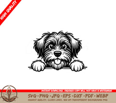 Cheeky Peeky Griff SVG - Digital Product File in Various Formats