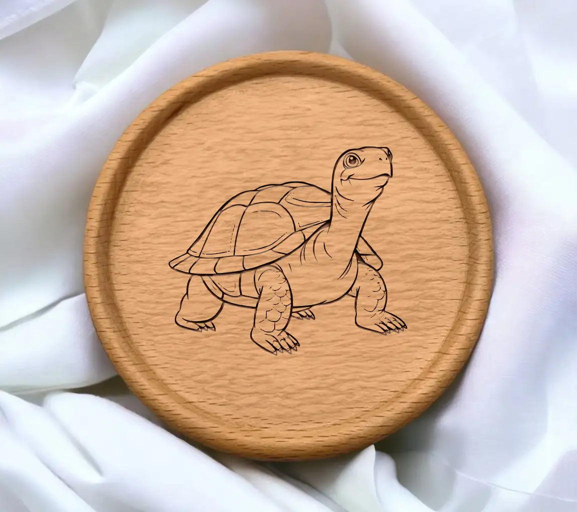 Cheerful Turtle