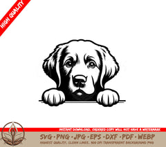 Chill Chesapeake Bay Retriever SVG (Digital Product)