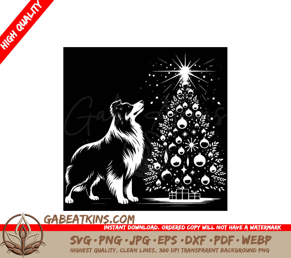 A Black And White Border Collie Looking Up At A Christmas Tree SVG - Christmas Australian Shepherd SVG