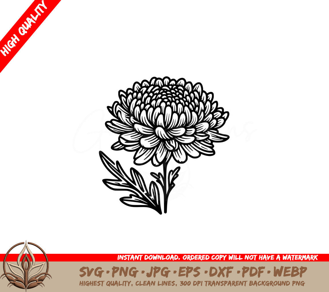 Chrysanthemum Floral Elegance SVG