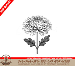 Chrysanthemum Grace Digital Product in SVG