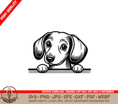 Contemplative Dachshund Digital Product SVG