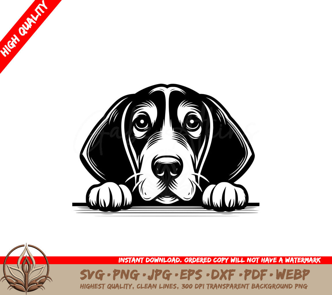 Coonhound Soft Stare - Digital Product in SVG Format