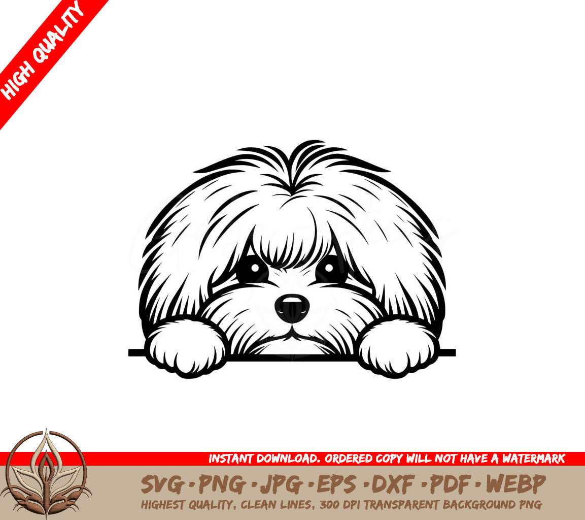 Coton Whisker Wonders SVG