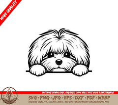 Coton Whisker Wonders SVG