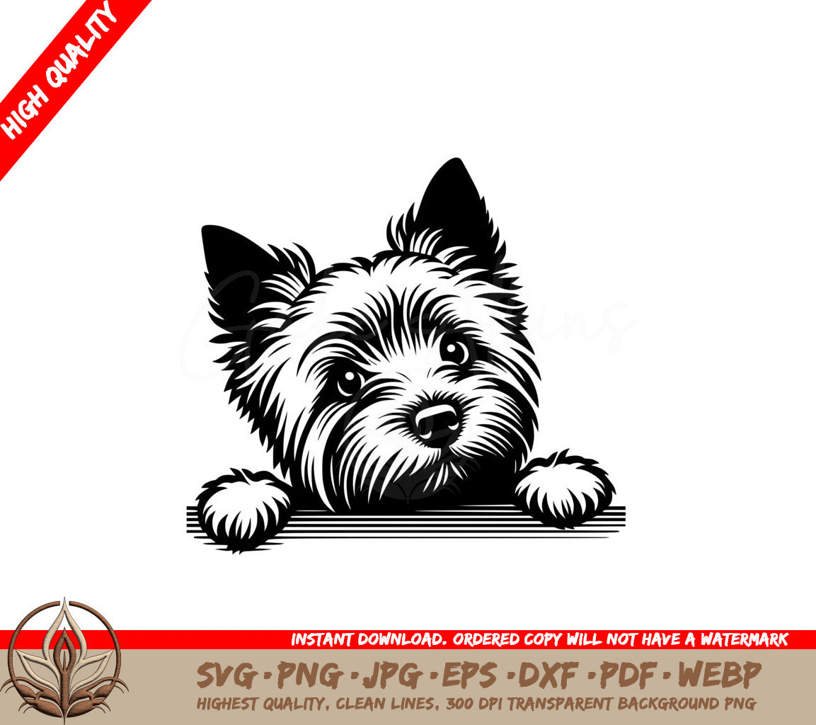 Cozy Fluffy Cairn Terrier SVG