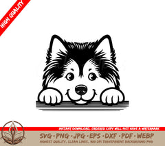 Curious Alaskan Malamute SVG Digital Product