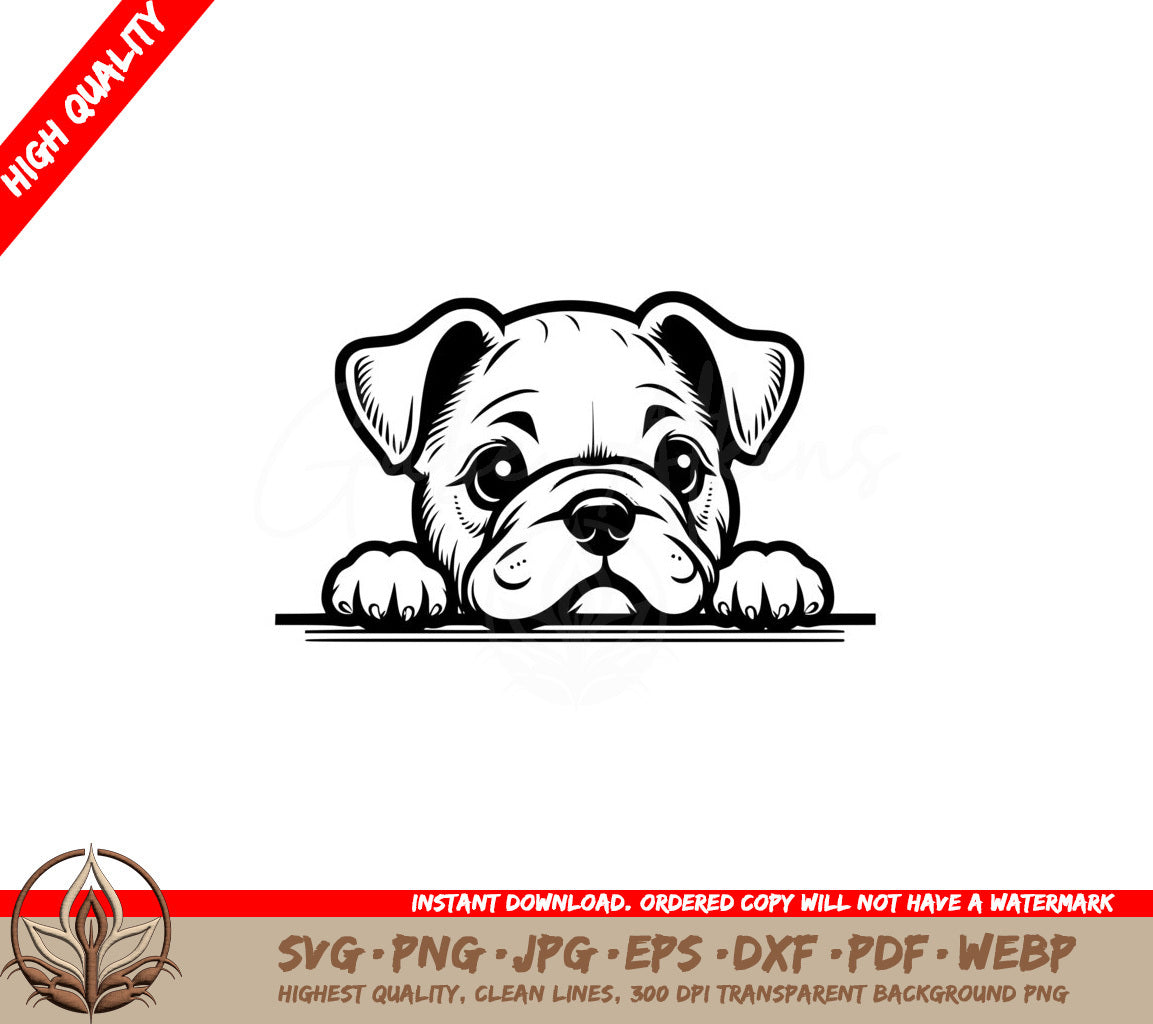 Curious Bulldog Peek SVG