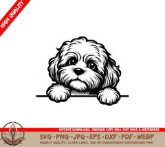 Curious Cavapoo Peek SVG - Digital Product in Multiple Formats