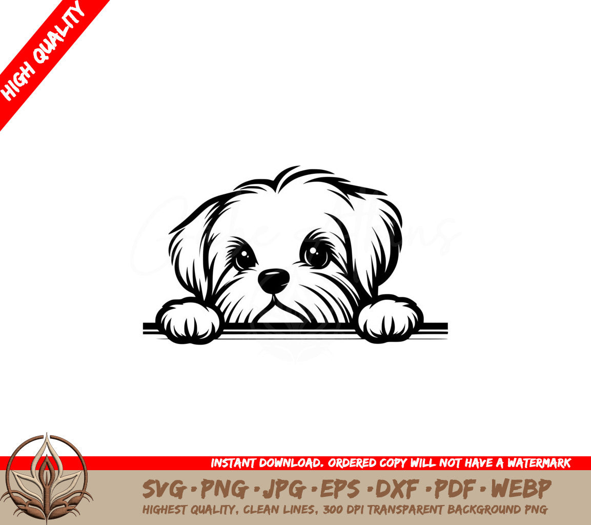 Curious Maltese SVG - Digital Product File (8 File Format)