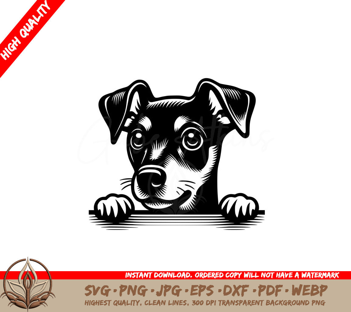 Curious Mini Pinscher Digital SVG