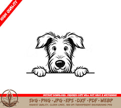 Curious Scottish Deerhound Peek SVG