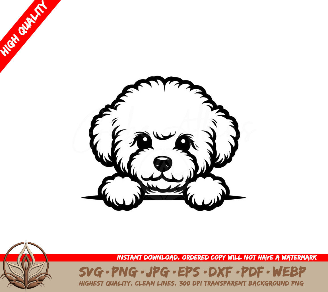 Curly Bichon Peek - SVG File Format