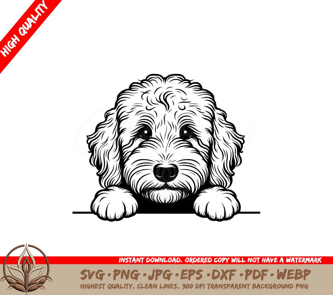 Curly Goldendoodle Canine SVG - Digital Product File