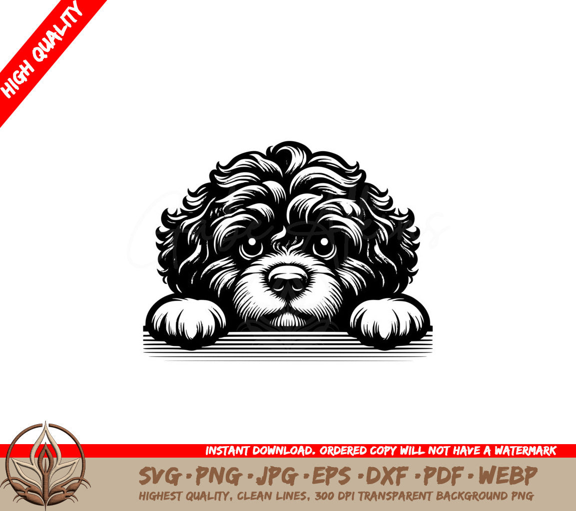 Curly Haired Portuguese Waterdog SVG - Versatile Digital Product