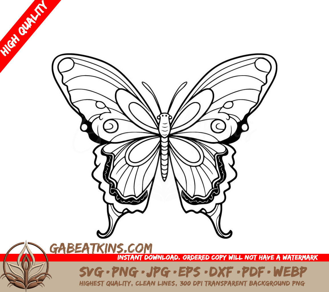 Cute Butterfly SVG -  A Butterfly On A White Background