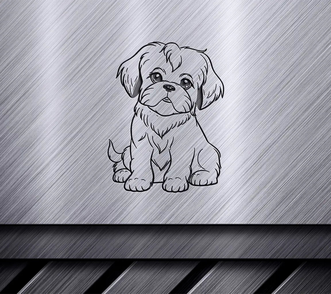 Cute Little Shih Tzu