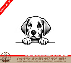 Cute Pointer Gaze SVG - Digital Product with Multiple Formats