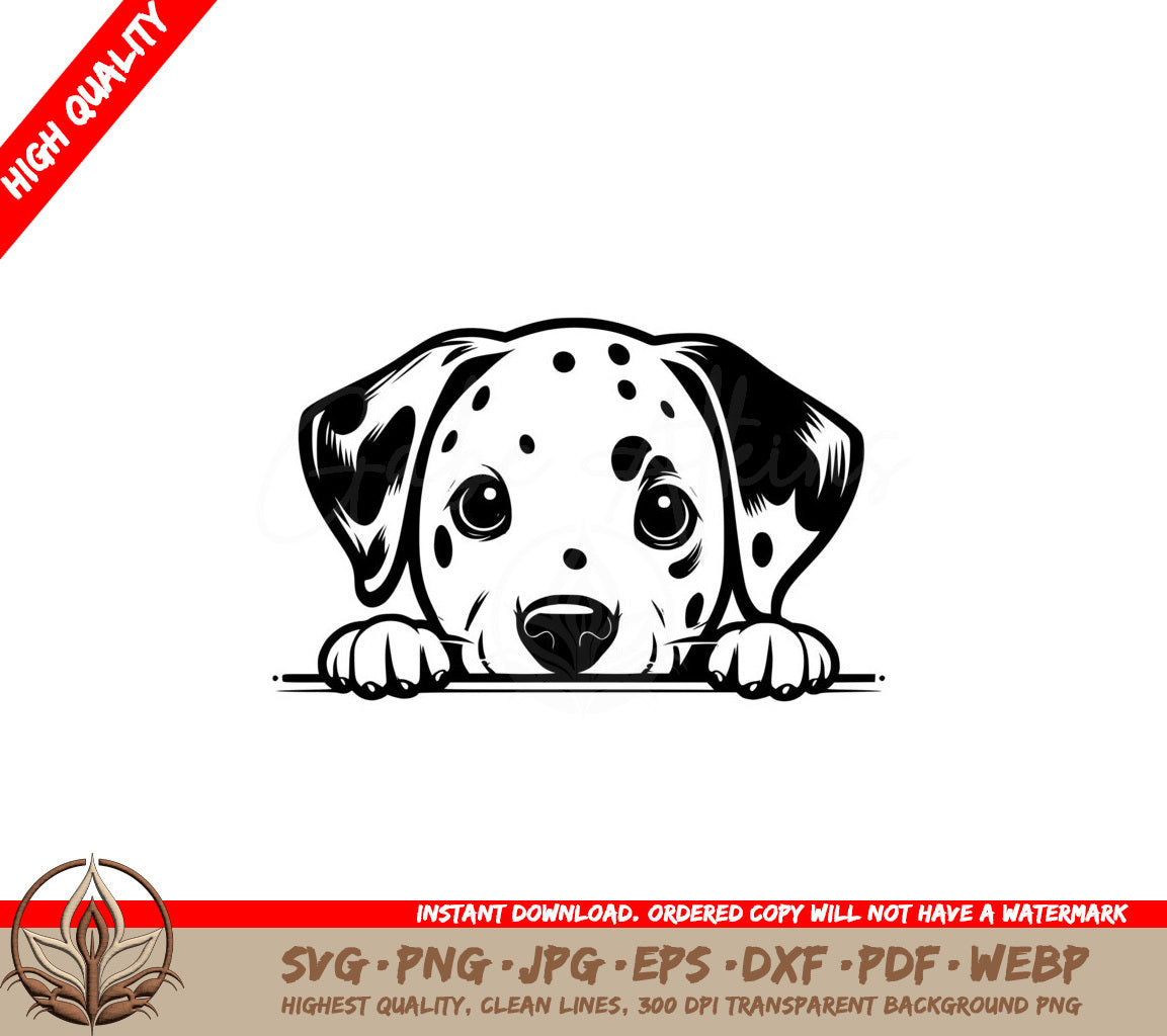 Dalmatian Puppy Play SVG - Digital Product in Multiple File Formats