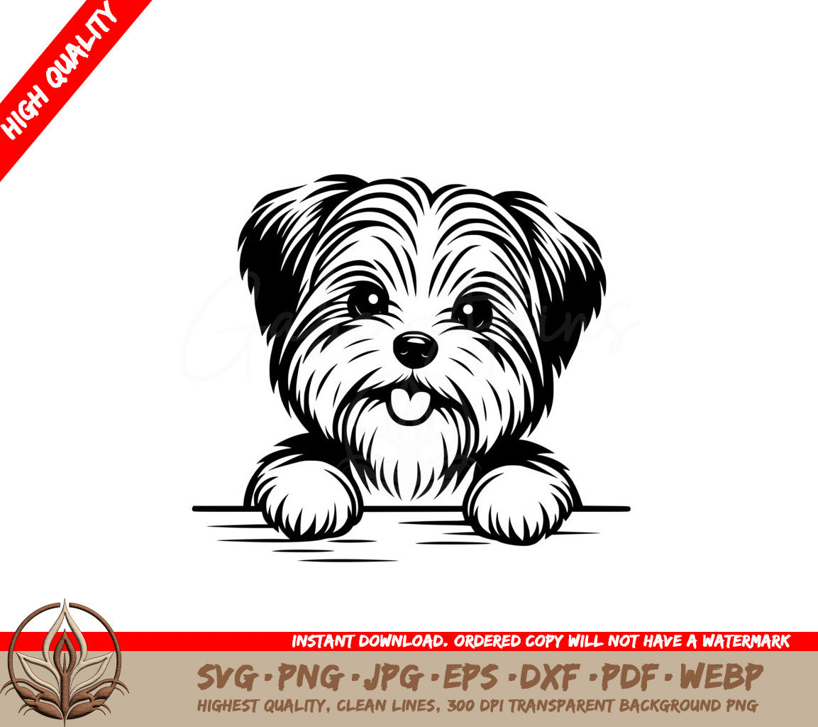 Dapper Fluffy Biewer Terrier SVG Product