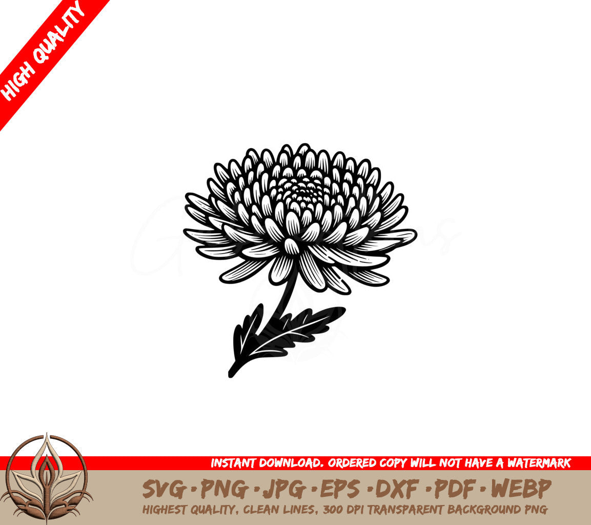 Dazzling Chrysanthemum SVG - Digital File with 7 formats