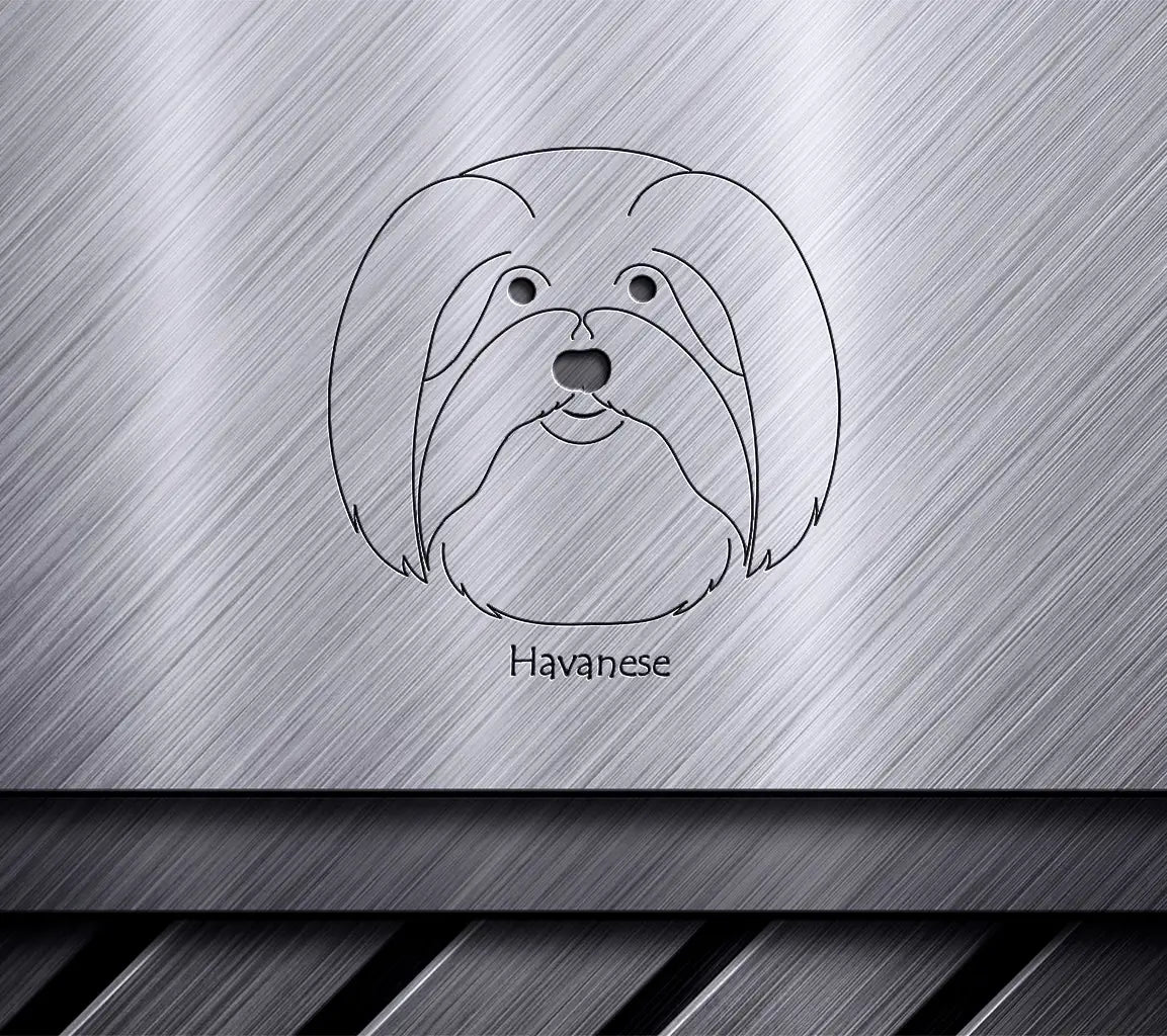 Havanese Dog SVG -  Drawing, Dog Face Portrait SVG