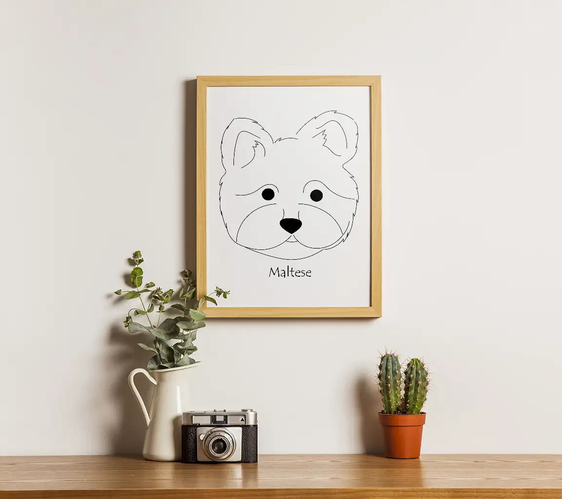 Maltese Dog SVG -  Drawing SVG