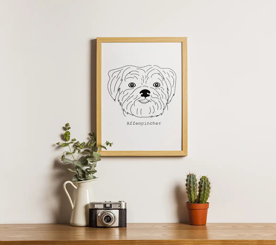 Affenpincher Dog SVG -  Outline Drawing SVG