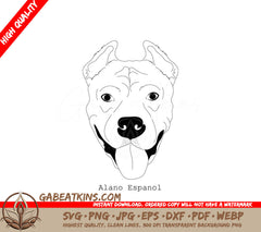 Alano Espanol Dog Breed Outline SVG -  Drawing SVG