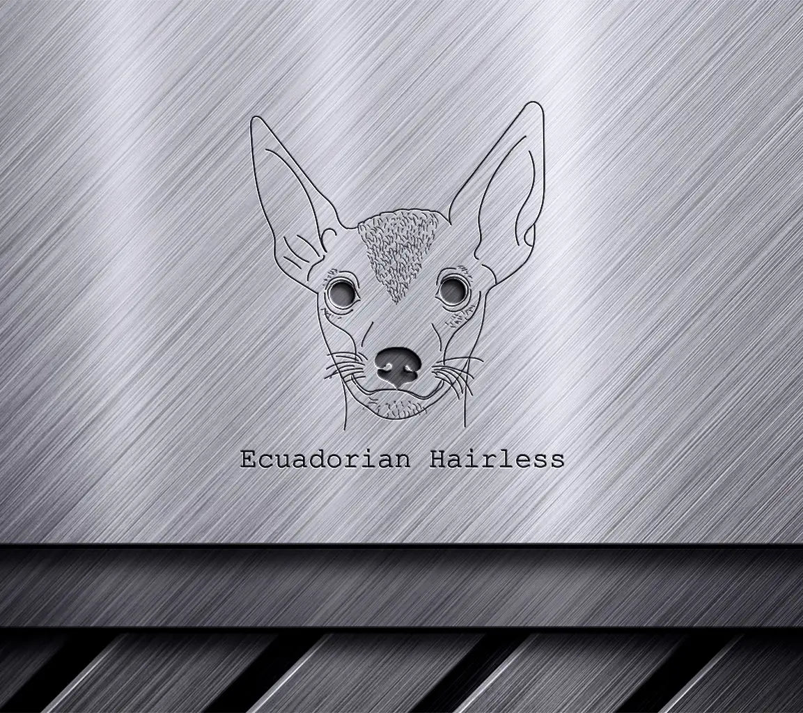 Ecuadorian Hairless Chihuahua SVG -  Line Drawing SVG