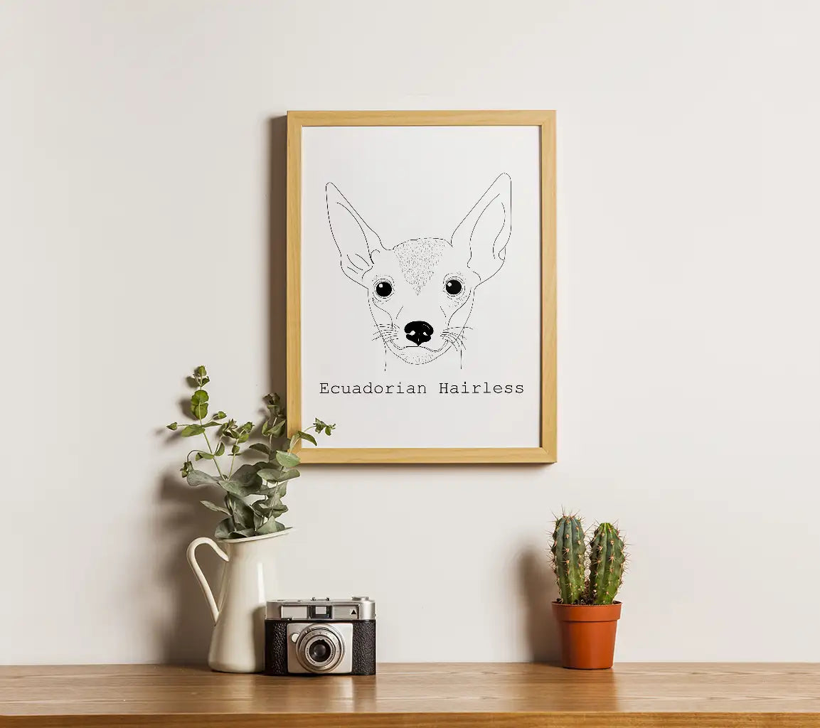 Ecuadorian Hairless Chihuahua SVG -  Line Drawing SVG