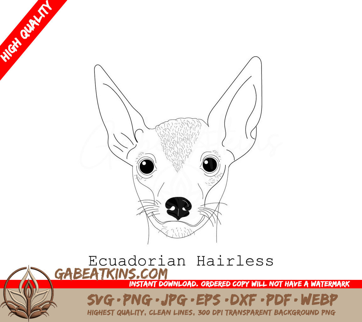 Ecuadorian Hairless Chihuahua SVG -  Line Drawing SVG