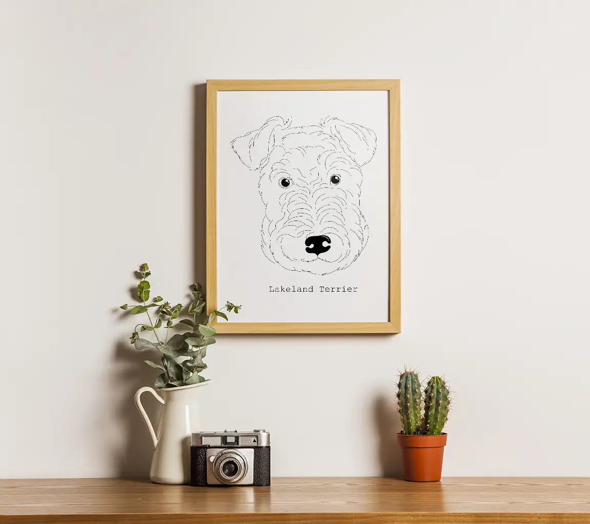 Lakeland Terrier SVG -  Line Drawing SVG