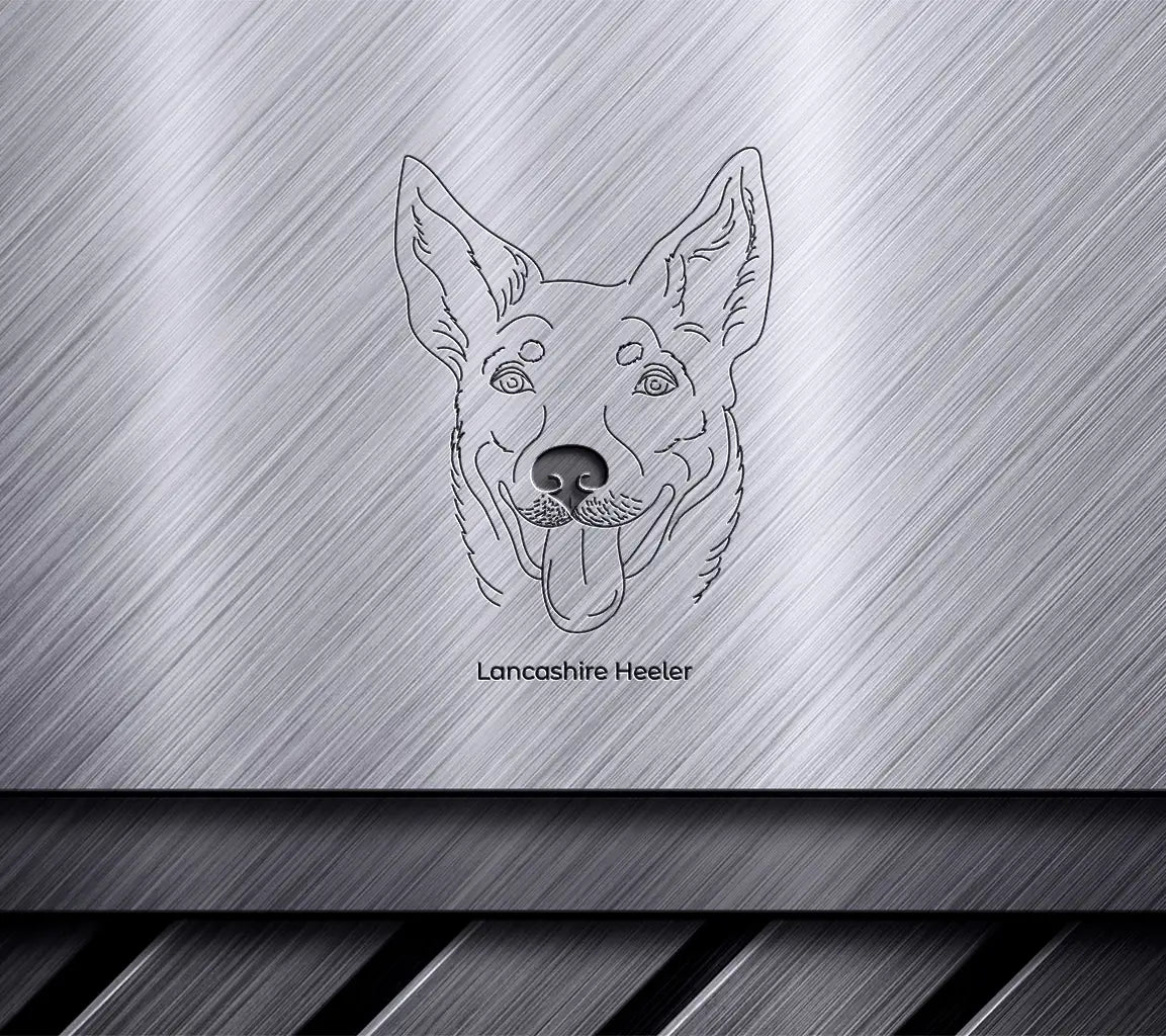 Lancashire Heeler Dog SVG -  Outline Drawing SVG