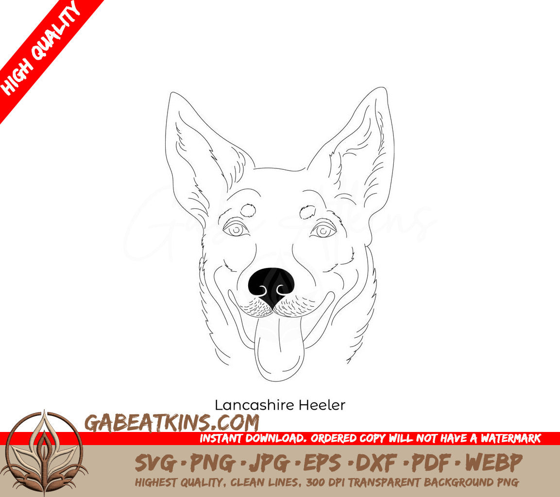 Lancashire Heeler Dog SVG -  Outline Drawing SVG