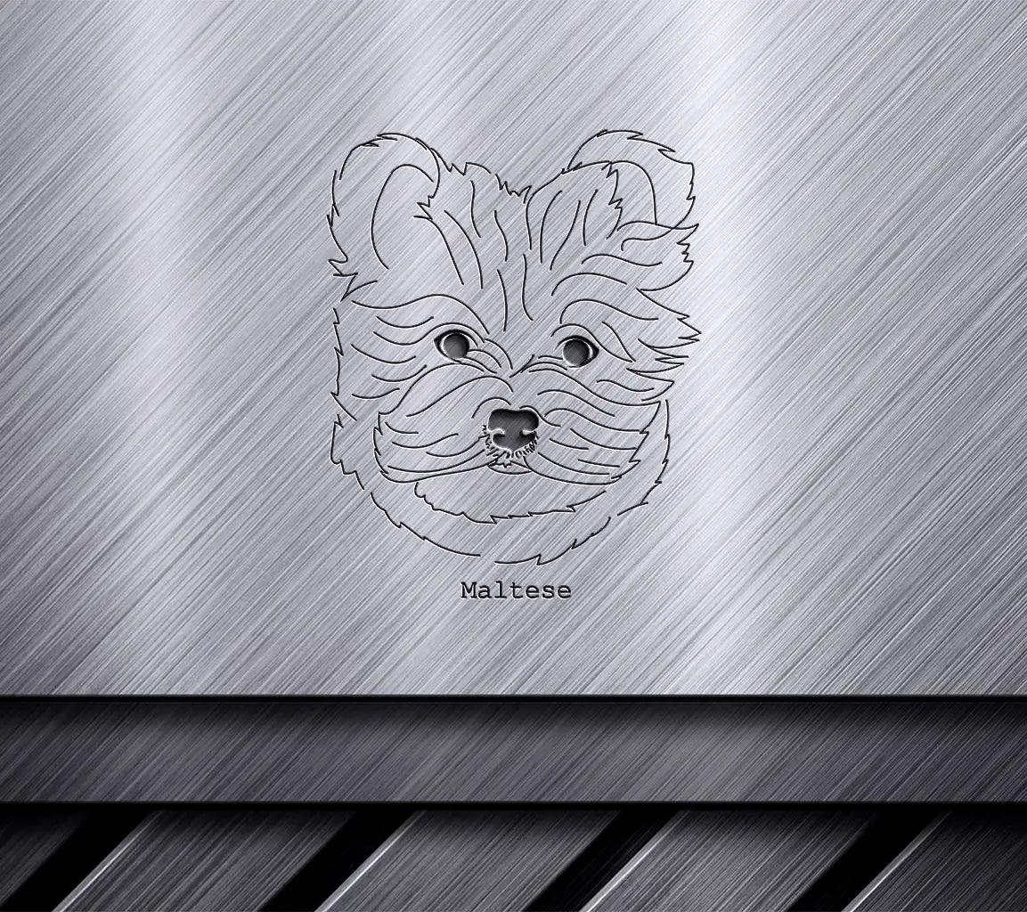 Maltese Dog SVG -  Outline Drawing SVG