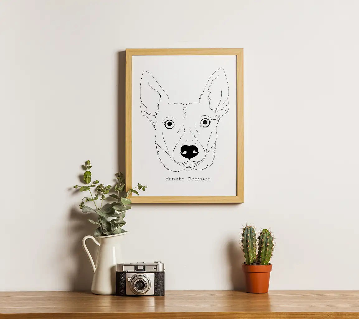 Maneto Podenco Dog Breed SVG -  Outline Drawing SVG